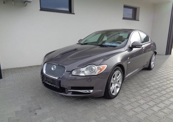 Jaguar XF cena 17900 przebieg: 187000, rok produkcji 2010 z Stargard małe 172